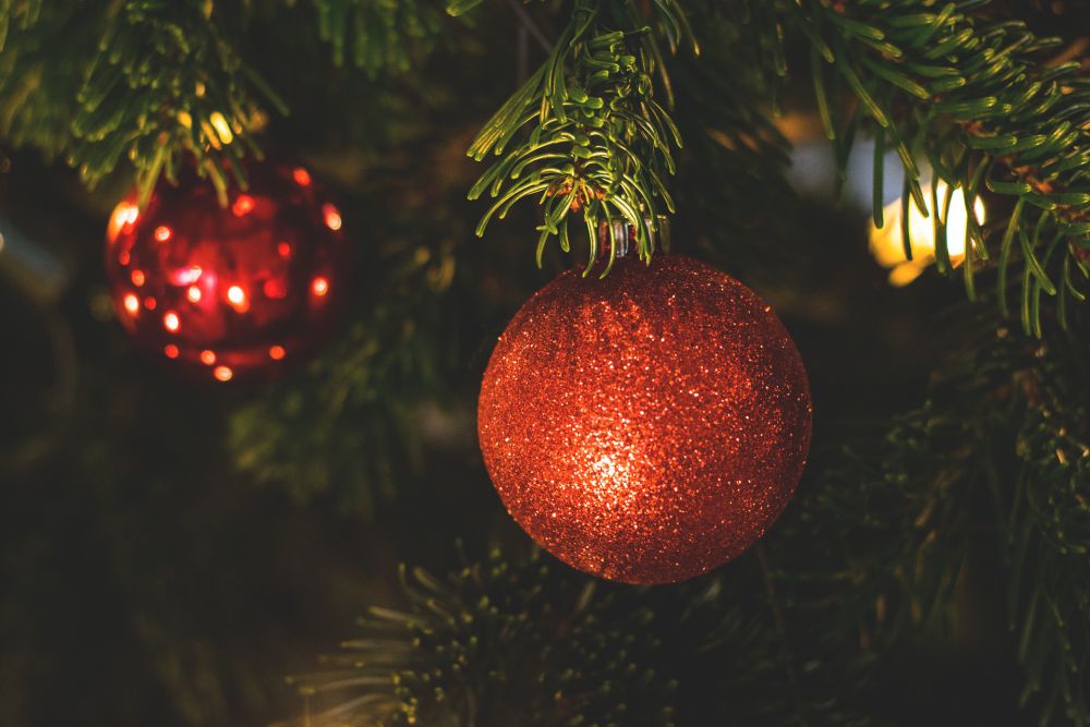 Żywe choinki - nieodłączny element świątecznego wystroju domu